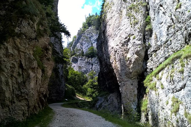 Perfect bike tour around Brasov - Who will enjoy this Brasov bike tour?