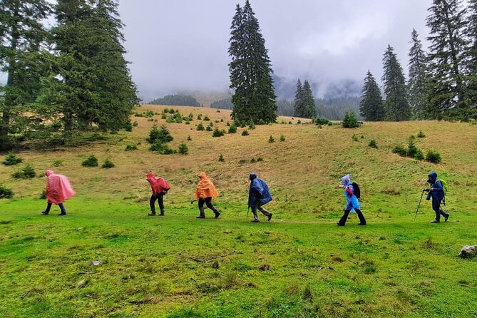 Pestera and Magura Full-Day Private Walking Tour from Brasov - Key points about the Pestera and Magura walk