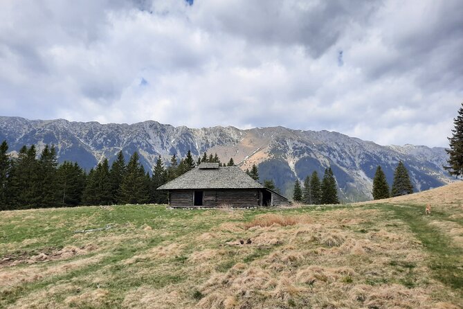 Pestera and Magura Full-Day Private Walking Tour from Brasov - The views are only half the story