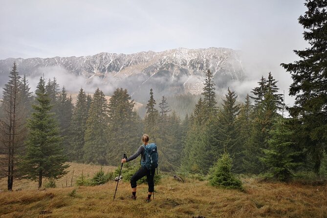 Pestera and Magura Full-Day Private Walking Tour from Brasov - Who should book this private village hike?