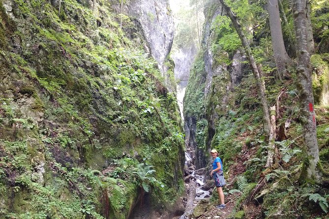 Piatra Craiului National Park Private Hiking Tour from Brasov - What the harder sections feel like