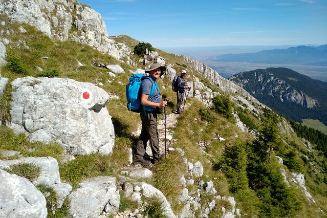 Piatra Craiului National Park Private Hiking Tour from Brasov - Lunch in the mountains, with one important warning