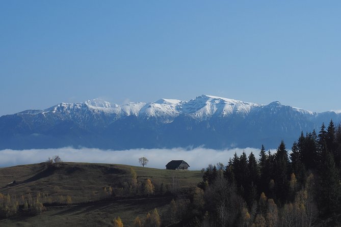 Piatra Craiului National Park Private Hiking Tour from Brasov - The value of a $126.98 private mountain day