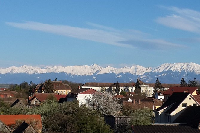 Private 5-Day Tour in Transylvania from Bucharest Hotel Pick-up and Drop off - Day 2: Bears, Viscri, and Sighisoara