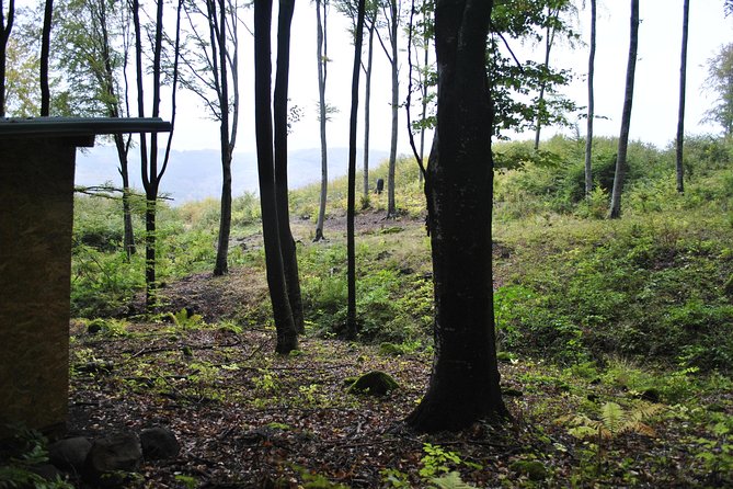 Private Brown Bear Watching Experience near Odorheiu Secuiesc - The 500-meter walk to the hide