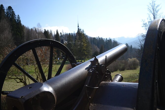 Private Day Tour: Dracula's Castle and Peles Castle - Who will get the most from this tour