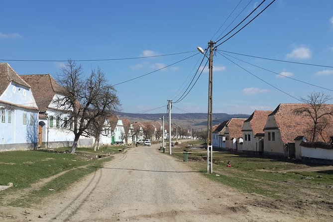 Private Day Tour Sighisoara and Viscri from Brasov with Hotel Pick Up/ Drop Off - Transport, timing, and comfort