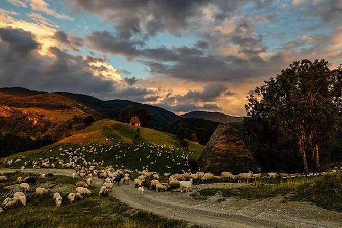 Private Day Tour to Historical Villages in Sinaia - Doftana village and its monastery