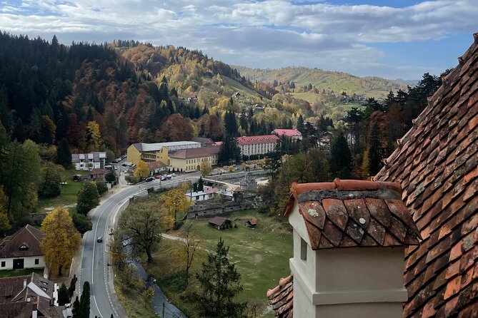 PRIVATE day-trip - Peles Castle, Bran Castle, Brasov - What the guide adds to the experience