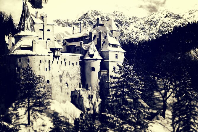 Private Day Trip to Peles and Bran from Bucharest - Who should choose this experience