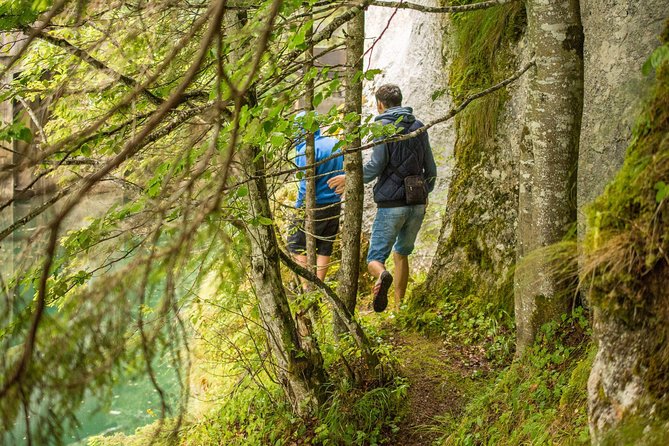 Private Daytrip Hike to Bucegi Mountains - From Bucharest to the Bucegi Mountains
