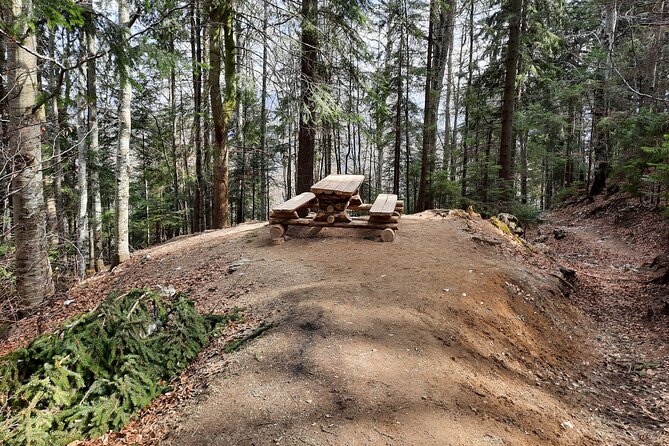 Private Full-Day Hiking Tour in Piatra Craiului National Park - Why Piatra Craiului makes such a good day hike