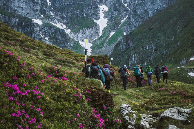 Private Hiking to Bucegi Natural Park from Brasov - Flora, fauna, and Romanian stories along the route