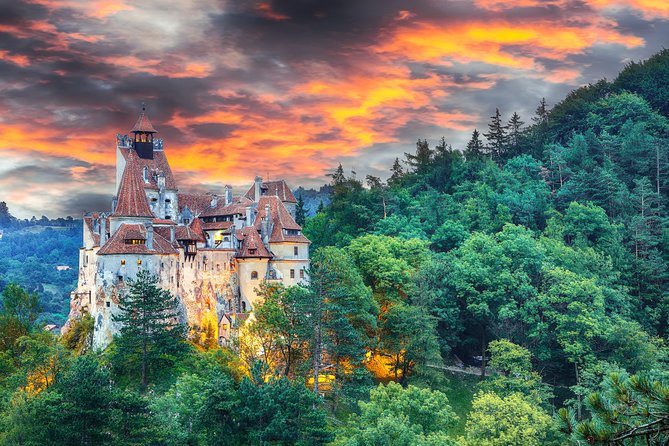 Private Movie Castles at Peles, Cantacuzino and Bran Castle Tour - Peles Castle, royal rooms in a mountain setting