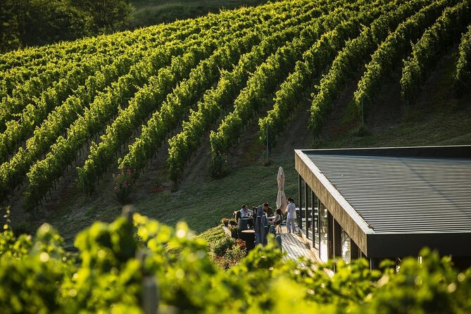 Private Tasting Expedition Along Romania’s Most Famous Wine Route - Why Dealu Mare makes a good day trip from Bucharest