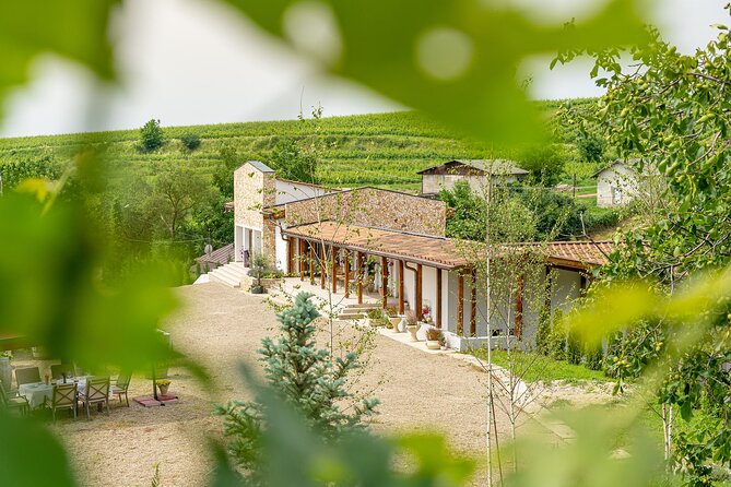 Private Tasting Expedition Along Romania’s Most Famous Wine Route - What the private format changes
