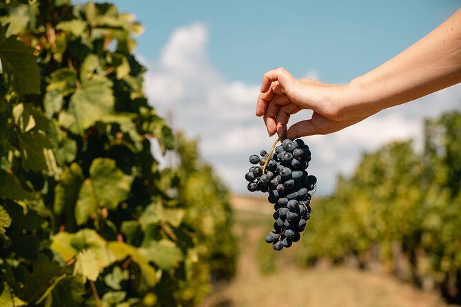Private Tasting Expedition Along Romania’s Most Famous Wine Route - Is $325.80 per person a fair price?