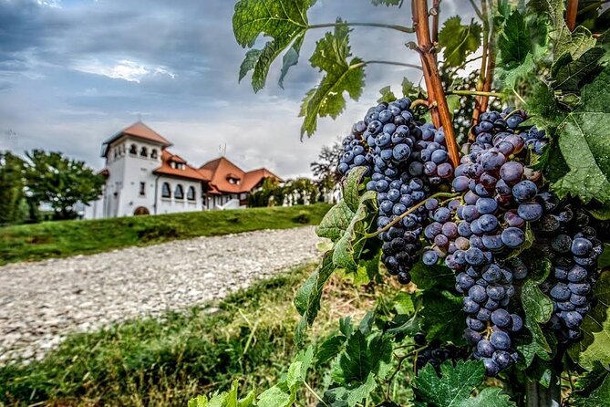 Private Tour to Salt Mine, Lunch at Winery and Dracula Grave - Lunch at Casa Seciu in Chitorani
