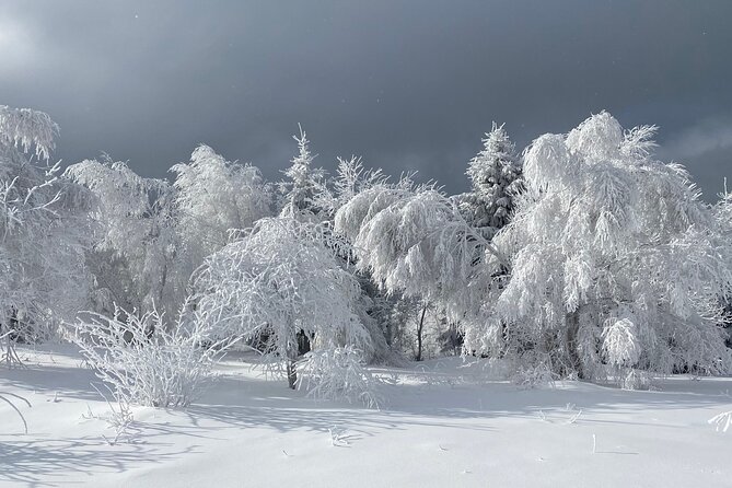Rambling in Transylvania - The road from Brasov to Sirnea