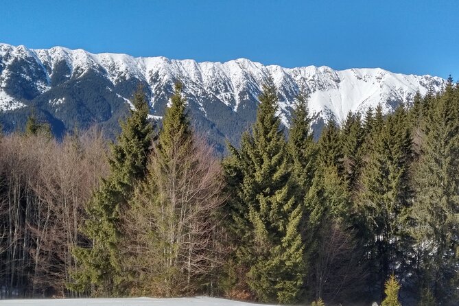Rambling in Transylvania - What the $177.52 price covers