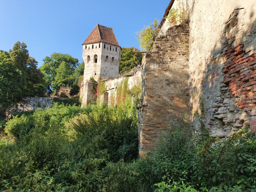 Real Dracula Princely Court and Real Dracula's Fortress - The private guide makes the long route workable