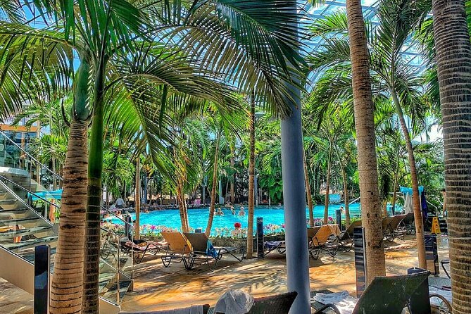 Relax and Fun at Thermal Spa Bucharest (Admission Ticket) - Palm gives you the tropical escape