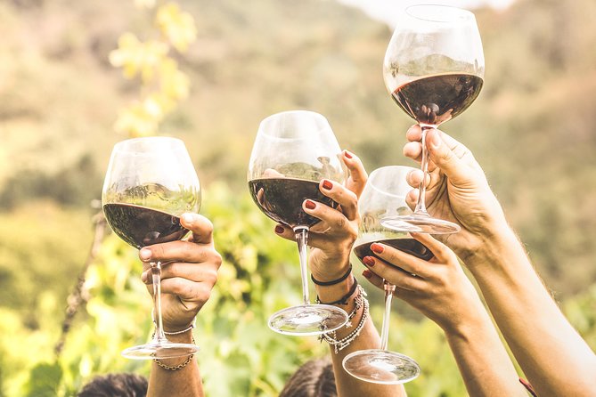 Romanian Wine Tasting - Key points to know before you book