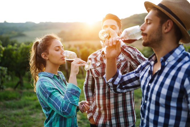 Romanian Wine Tasting - Leaving Bucharest for Romania’s Dealu Mare wine country
