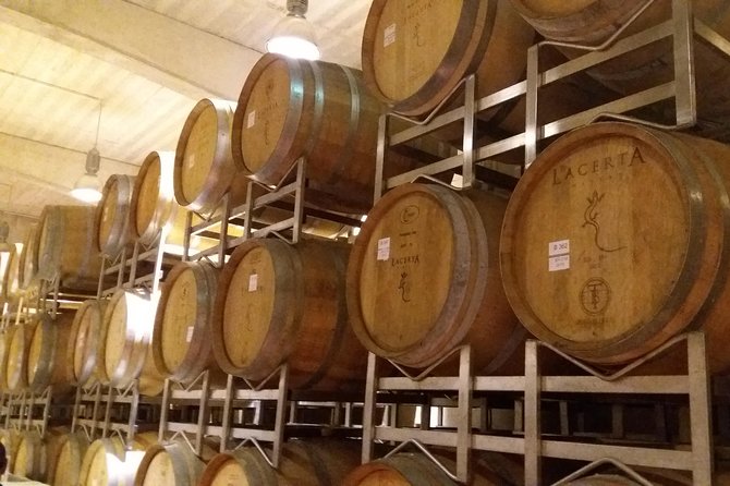 Salt Mine, the Muddy Volcanoes and Wine Tasting Private Day Tour from Bucharest! - Lacerta Winery and the Dealu Mare vineyards
