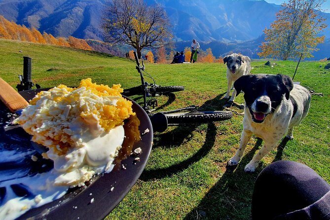 Sambata de Sus: E-Bike Guided Tours - Brâncoveanu Monastery and a quieter pause
