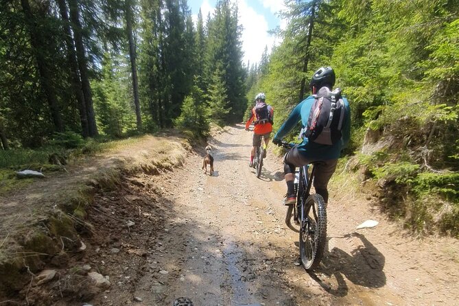 Sambata de Sus: E-Bike Guided Tours - My call: book it for the right kind of half-day