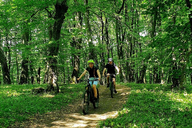 Sambata de Sus: E-Bike Guided Tours - What the mountain section feels like