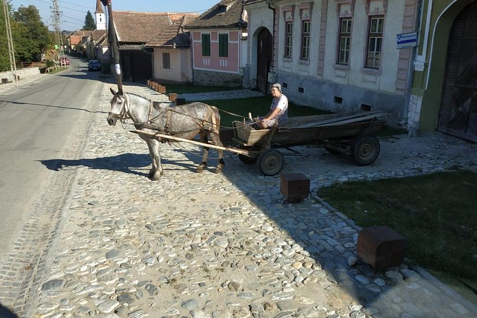 Saxon Heritage in Transylvania: Day Trip from Cluj-Napoca - Is $129.86 a fair price?