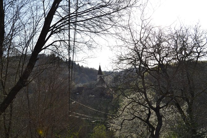 Saxon Heritage in Transylvania: Day Trip from Cluj-Napoca - Who will enjoy this day trip most?