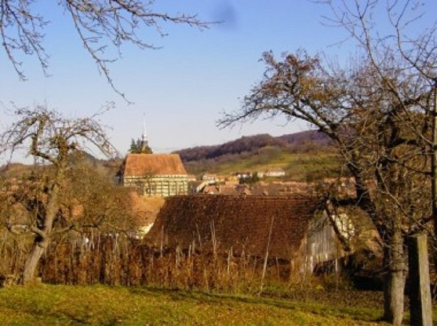 Saxon Secrets: The Malancrav & Biertan Experience - Meeting your guide at Sighisoara’s Monastery Church