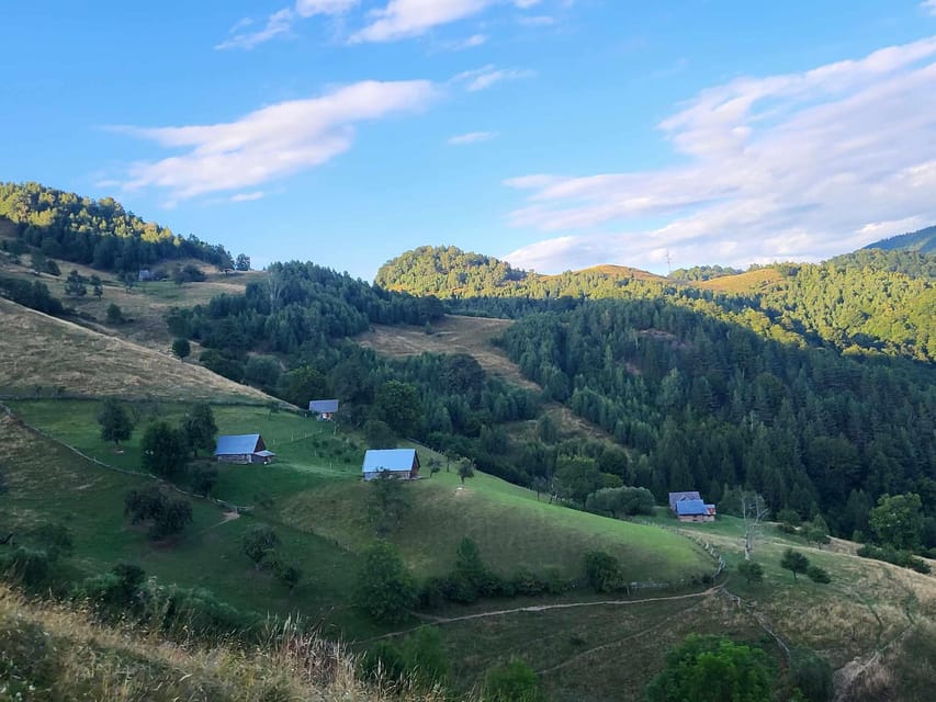 Sibiu: Cindrel Mountains Hike with Traditional Brunch - Key points to know before you book