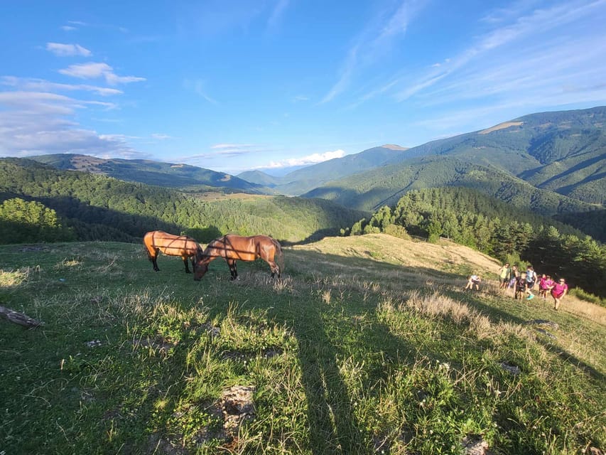 Sibiu: Cindrel Mountains Hike with Traditional Brunch - Arriving at MGS Cabin for Transylvanian food