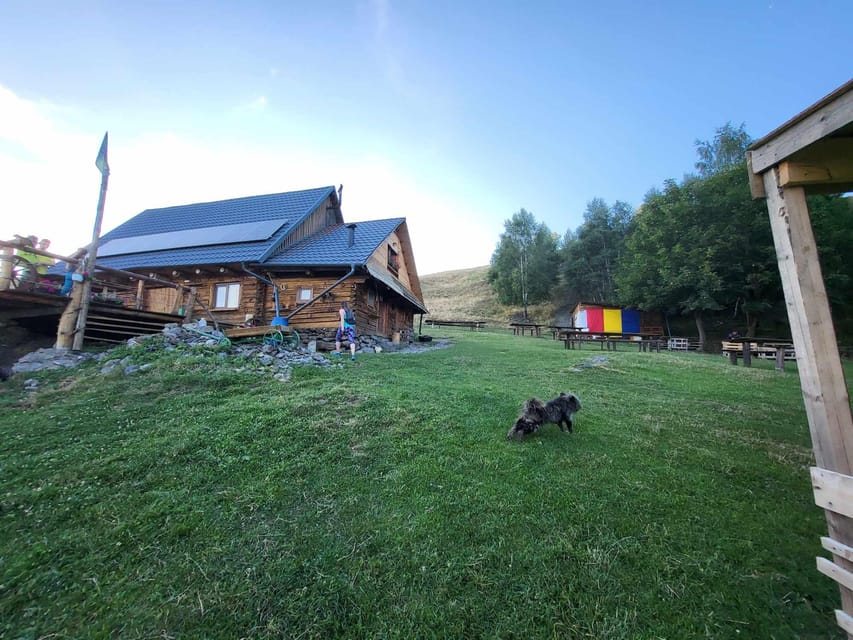 Sibiu: Cindrel Mountains Hike with Traditional Brunch - Timing, group size, and what is included