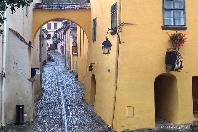 Sighisoara, UNESCO & wine tasting (1 day, from Cluj) - Sighisoara and its nine surviving towers