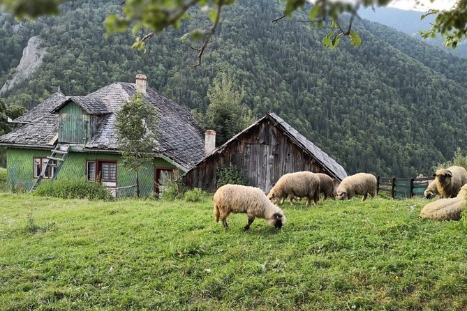 Slanic Salt Mines & Village Charms: Bucharest Day Escape - Is the $171.27 price fair?