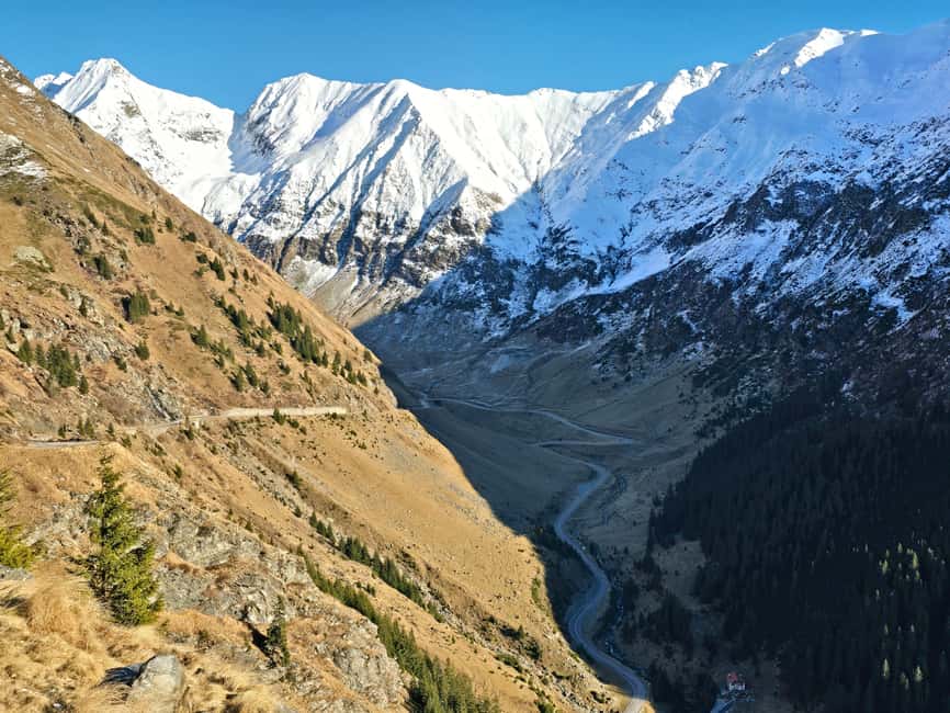Small group Bears 'Safari' on Transfăgărășan -max 7 tourists - How good are the bear sightings?