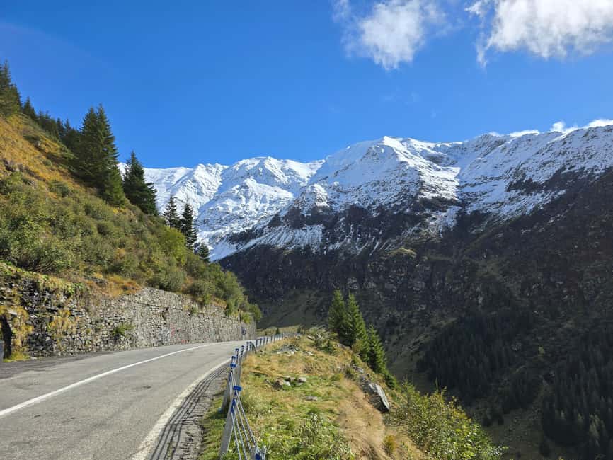 Small group Bears 'Safari' on Transfăgărășan -max 7 tourists - Bâlea Lake at 2,034 meters