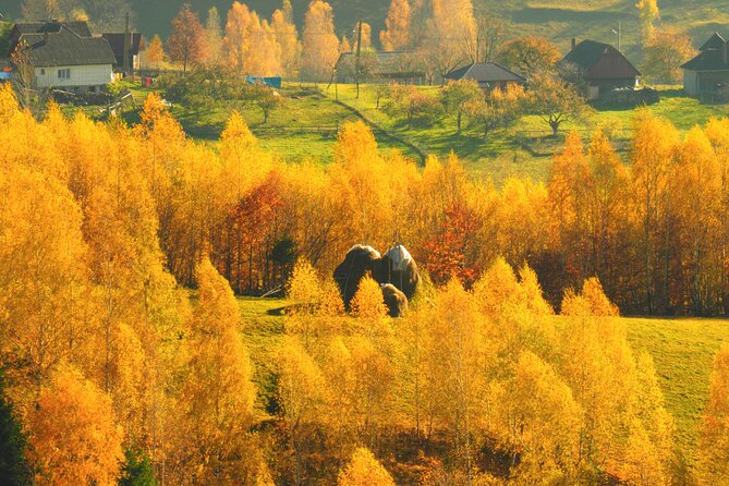 Small-Group Day Trip in Romanian Authentic Mountain Villages from Brasov - Bran Castle gives the morning a famous opening