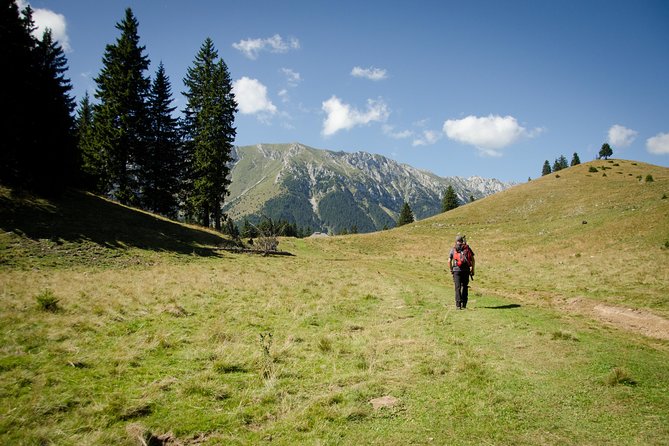 Small-Group Day Trip in Romanian Authentic Mountain Villages from Brasov - Lunch at the national park’s old guesthouse
