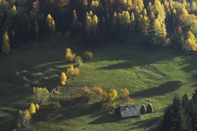 Small-Group Day Trip in Romanian Authentic Mountain Villages from Brasov - What the guides add to the day