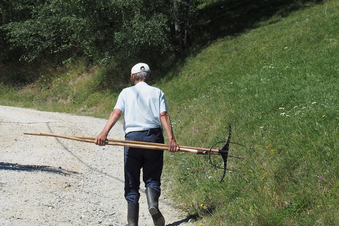 Small-Group Day Trip in Romanian Authentic Mountain Villages from Brasov - Lilicilor Cave and the resident bats