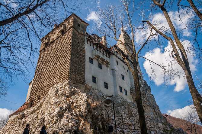 Small-Group Day Trip to Dracula's Castle, Brasov and Peles Castle - Is the $59.26 price good value?