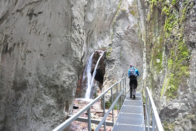 Small-Group Day Trip to the Epic 7 Ladders Canyon from Brasov - The 45-minute walk through woods and meadows