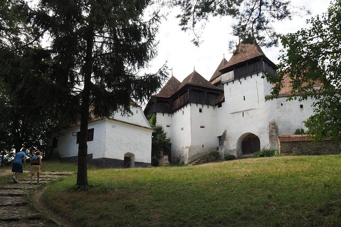 Small Group Tour to Viscri Church Sighisoara Town Rupea Fortress - Who should choose this experience?