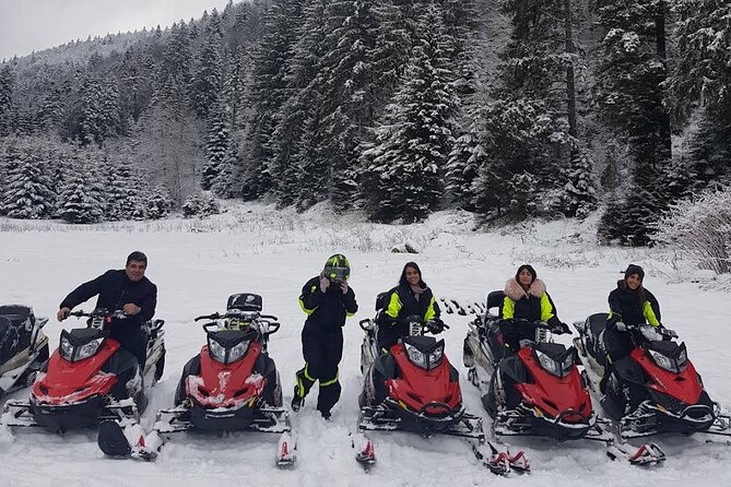 Snowmobiles, Sky Lift & Winter Sports - Private Tour - The one-hour snowmobile ride through the forest
